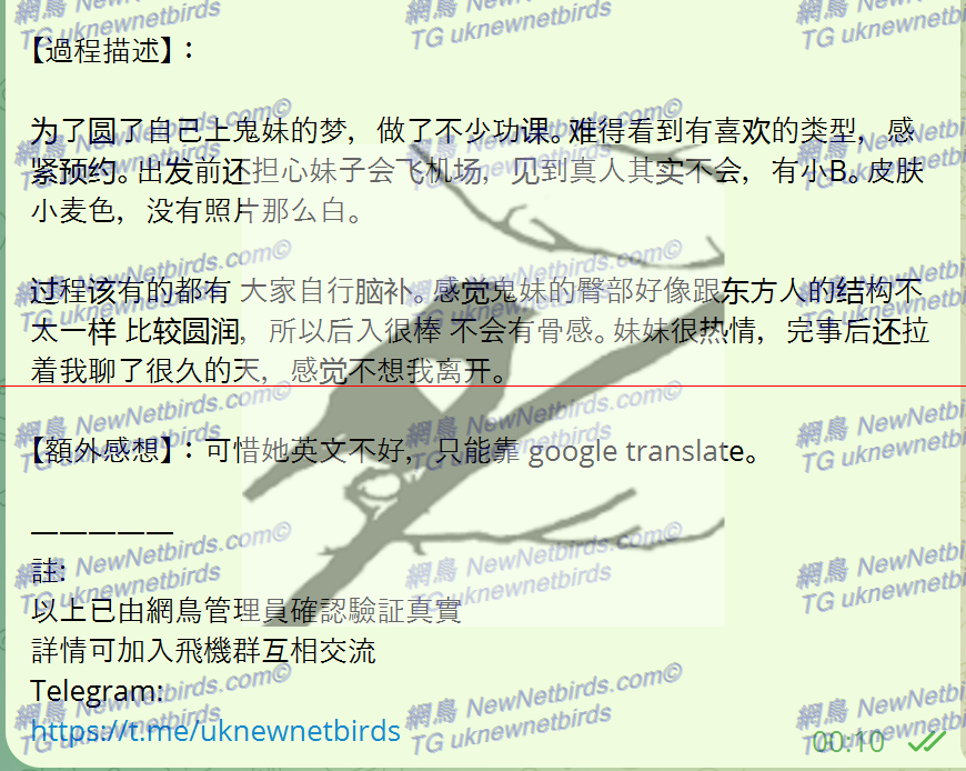 戰號 224 3.png